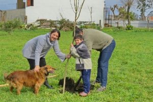 MGP EMSUR Plantacion de arboles