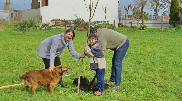 MGP EMSUR Plantacion de arboles
