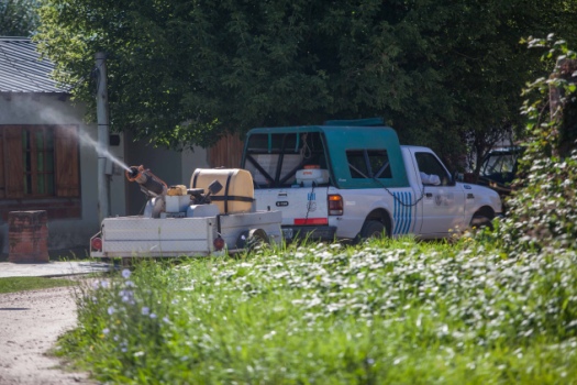 MGP - El Municipio continúa con sus fumigaciones