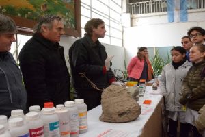 MGP- Medio Ambiente