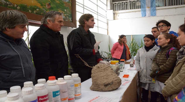 MGP- Medio Ambiente
