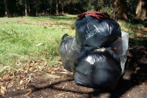 MGP Operativo limpieza Laguna de los Padres