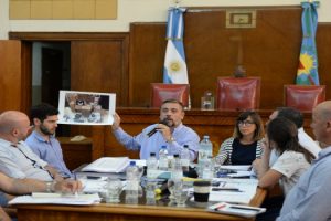 MGP - Seguridad y Gobierno expusieron en HCD