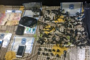 MS BANDA NARCO ABUELOS 1