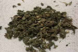 MS Intentó ingresar droga a cría - Lomas de Zamora 1