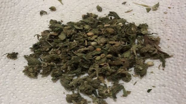 MS Intentó ingresar droga a cría - Lomas de Zamora 1