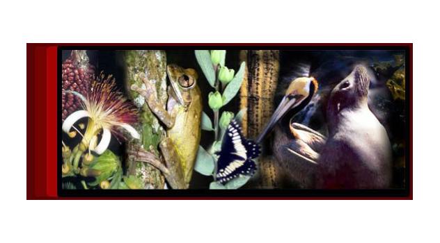 NAV BIODIVERSIDAD