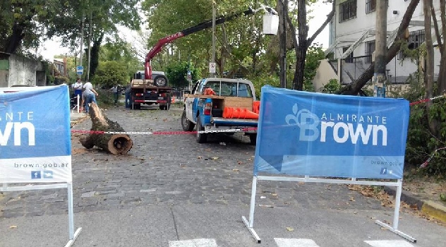ab PodaArbol