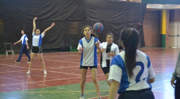 ab handbal crece escueelas