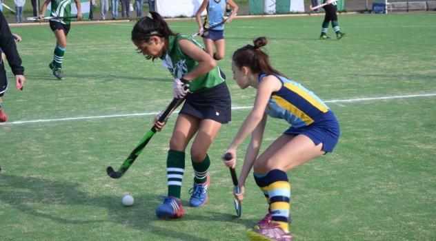 ab hockey