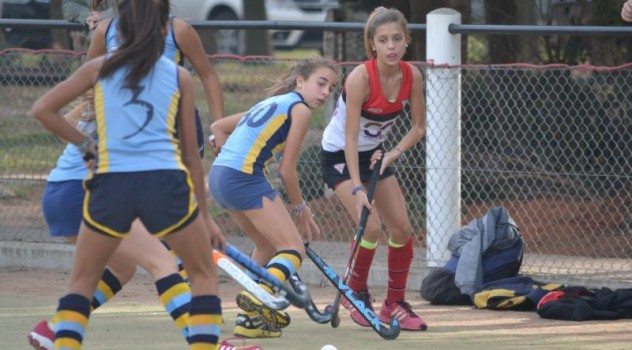 ab hokey fem (1)