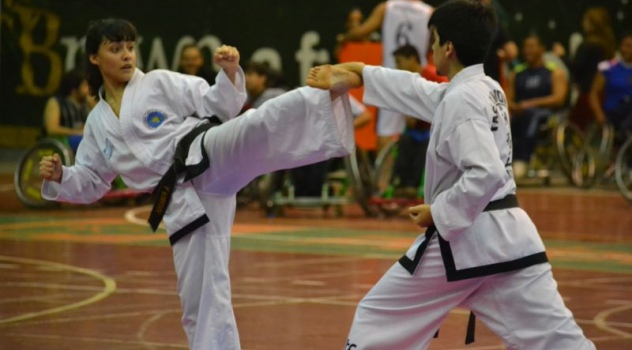 ab taekwondo 4-16