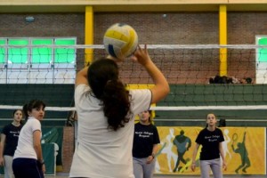 ab voley pregesell1