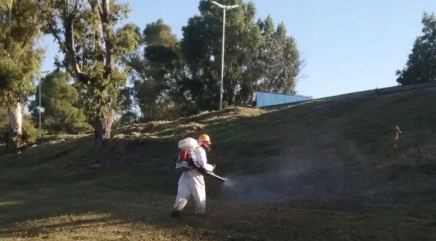 ee Fumigación Camino de Cintura, Luis Guillón