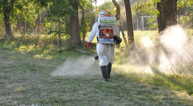 ee Fumigación Campo Bargone