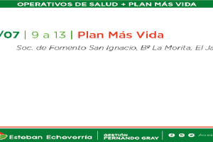 ee Plan Más Vida- Cronograma-08