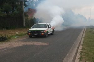 ee Plan de fumigación ambiental- Dengue