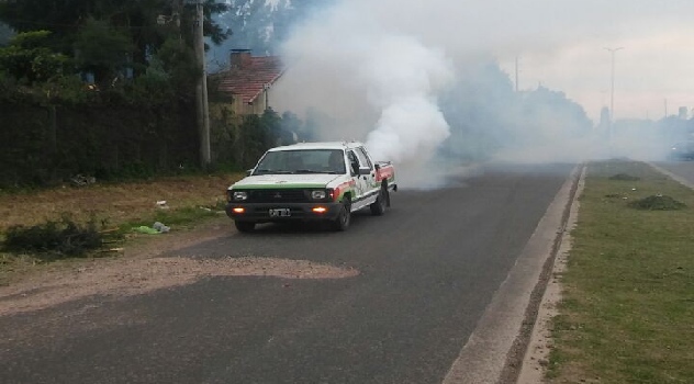 ee Plan de fumigación ambiental- Dengue