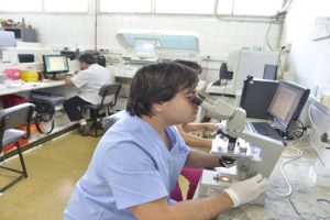 ee laboratorio modificado