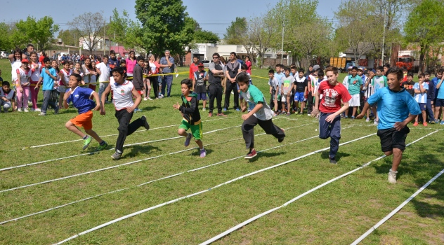 ee-torneodistrit