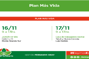 ee + vida 14-11