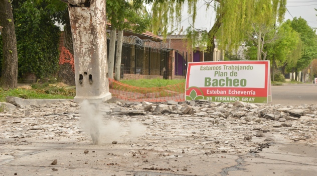 ee2-bacheomg