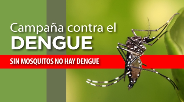 ee2-bannerdengue