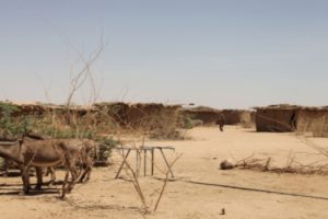 fao EthiopiaSequía
