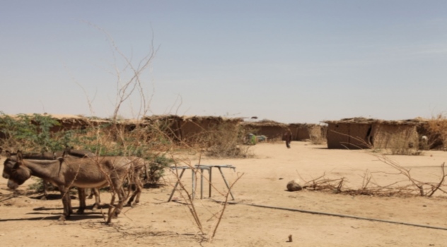 fao EthiopiaSequía