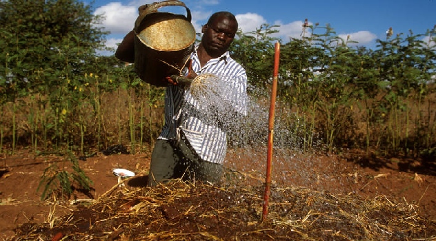 fao agricult clim