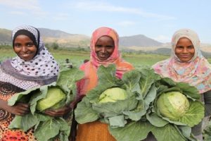 fao agricultDesempleo