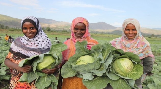 fao agricultDesempleo