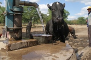 fao alimentos_Zimbabwe