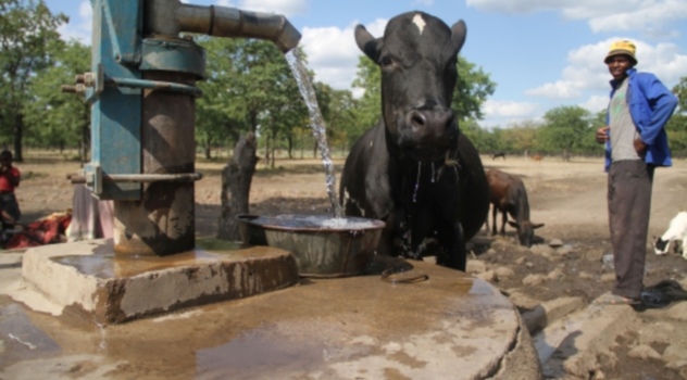 fao alimentos_Zimbabwe