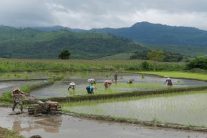 fao cambio climático