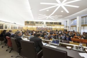 fao-consjo-fao