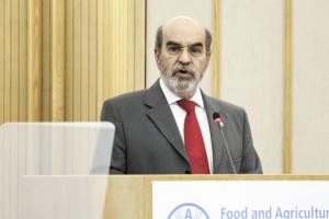 fao food agricult