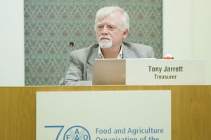 fao food y agriculture