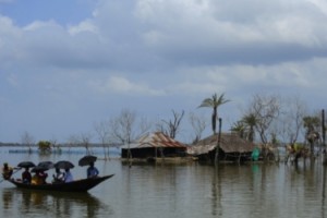 fao hambr y c climatico