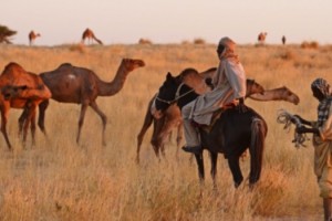 fao hoja ruta combat enf zoonoticas