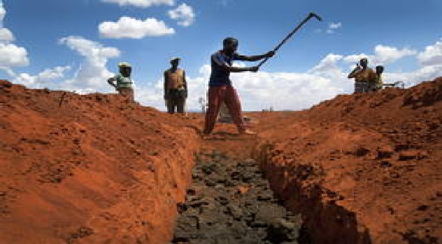 fao nva Agricult