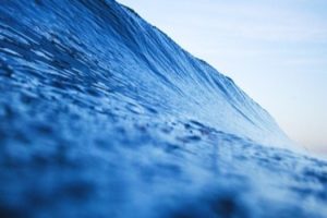 fao-oceano