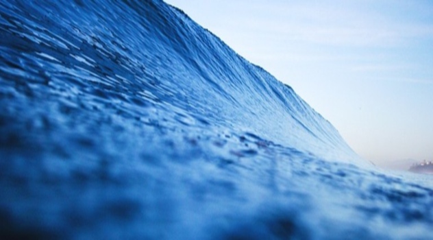 fao-oceano