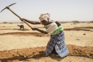 fao-promovempleorural