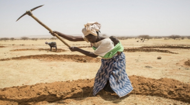 fao-promovempleorural