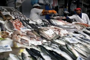 fao rastreas pescado