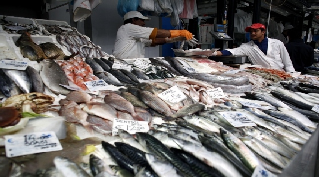 fao rastreas pescado