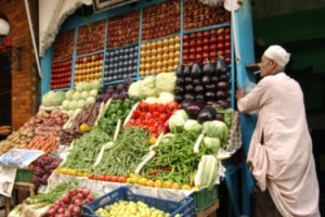 fao seg alimentaria