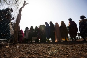 fao sudan insg alimentaria