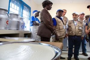 fao_SSUDAN2